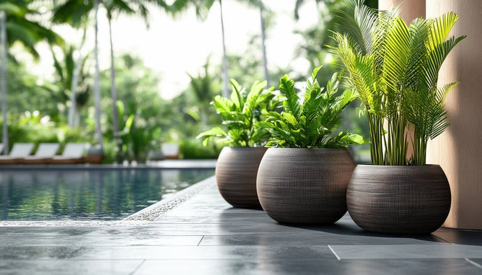 Elevate Your Hotel Design with Artificial Greenery: How Faux Plants Create 5-Star Feel (Part A)