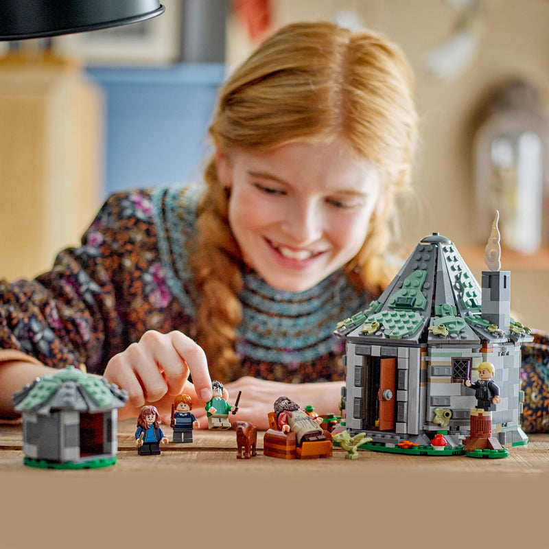 Load image into Gallery viewer, LEGO Harry Potter Hagrid’s Hut: An Unexpected Visit 76428
