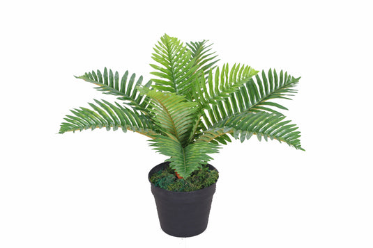 Tradala 1ft 8Inch Lush Artificial Tree Plant Palm 50cm / 1ft 8inch Tall with Real Wood Trunk - For Home Living Room Indoors