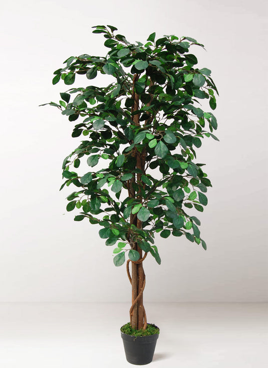 Tradala 4ft Lush Artificial Tree Coin Plant 120cm / 4ft Tall with Real Wood Trunk - For Home Living Room Indoors