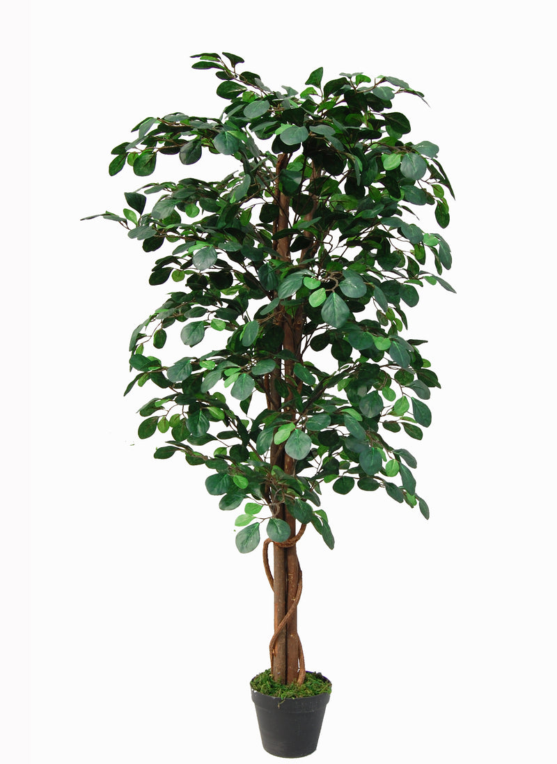 Load image into Gallery viewer, Tradala 4ft Lush Artificial Tree Coin Plant 120cm / 4ft Tall with Real Wood Trunk - For Home Living Room Indoors
