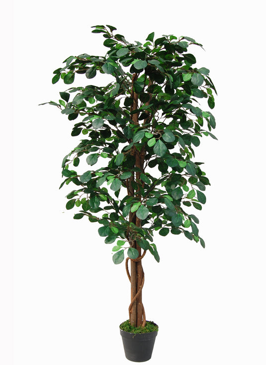 Tradala 4ft Lush Artificial Tree Coin Plant 120cm / 4ft Tall with Real Wood Trunk - For Home Living Room Indoors