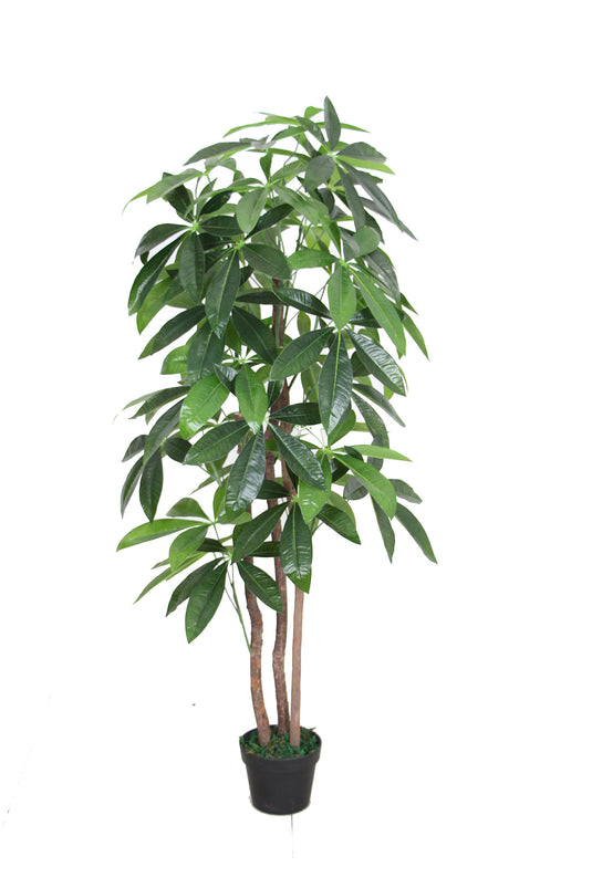 Tradala 5ft Lush Artificial Tree Large Fortune 150cm / 5ft Tall with Real Wood Trunk - For Home Living Room Indoors