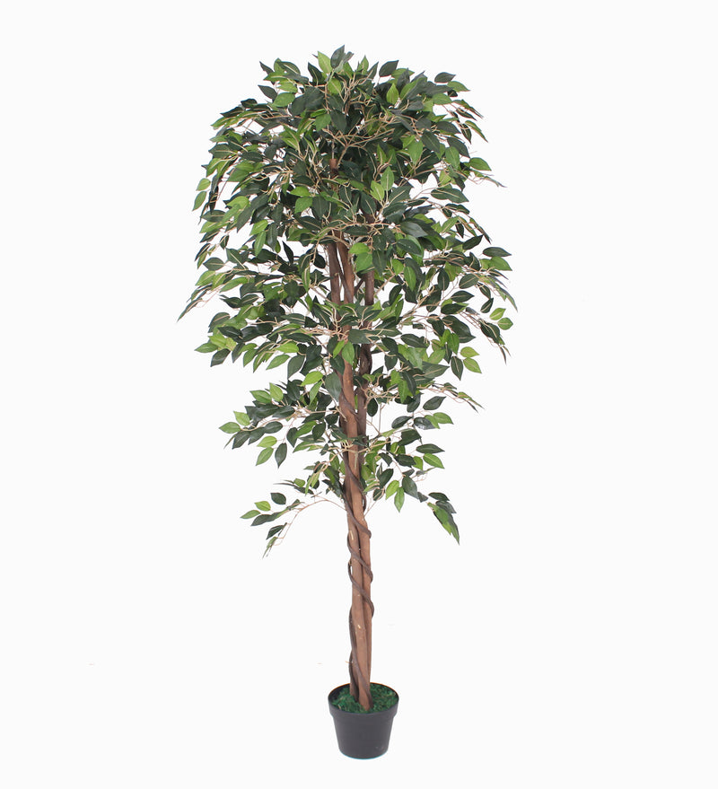 Load image into Gallery viewer, Tradala 5ft Lush Artificial Tree Ficus 150cm / 5ft Tall with Real Wood Trunk - For Home Living Room Indoors
