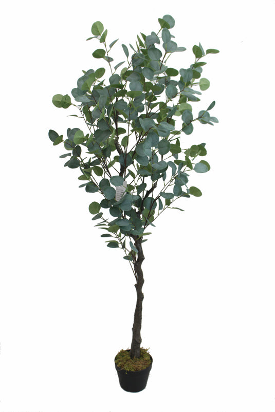 Tradala 5ft Artificial Eucalyptus Tree 165cm Large Fake Plant with Wood Trunk Decor in Pot - For Home Living Room Indoors