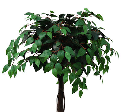 Tradala 4ft Lush Artificial Tree Ficus 120cm / 4ft Tall with Real Wood Trunk - For Home Living Room Indoors